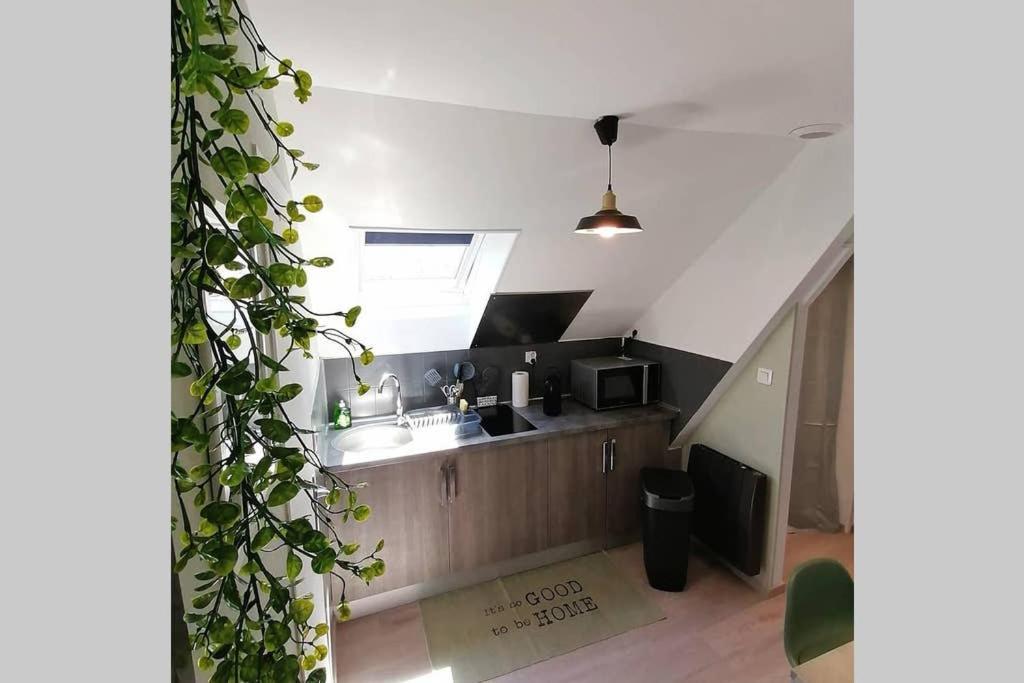 Ferienwohnung Le Cosy Sens Exterior foto